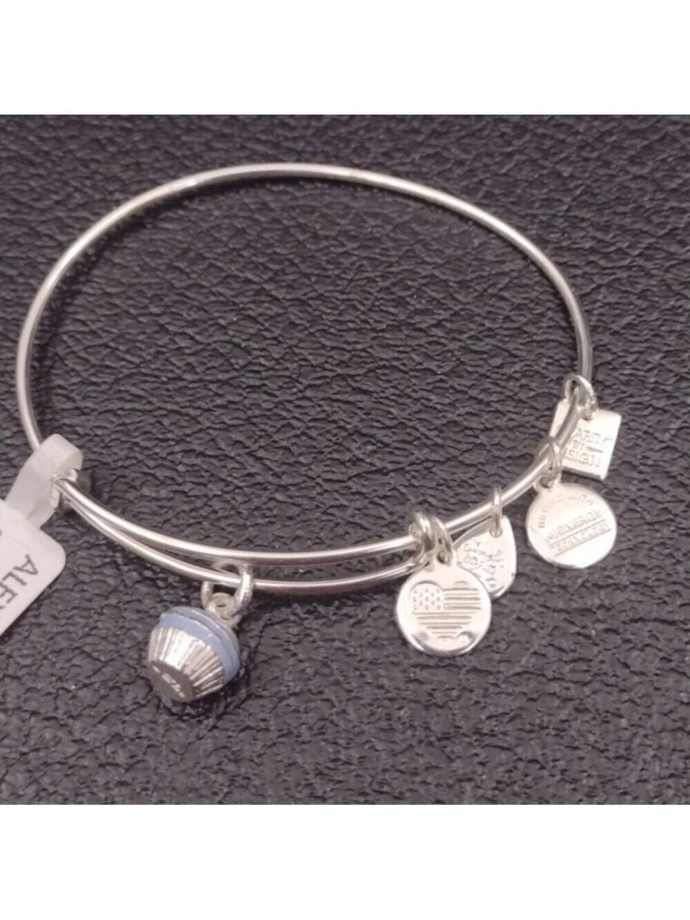 Alex and Ani Silver Adjustable Charm Bracelet with Cupcake New Old Stock NOS
